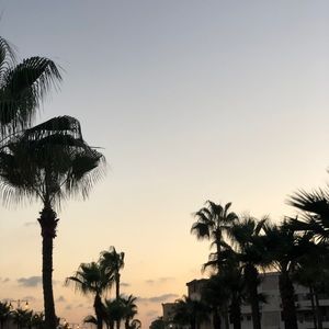 Meet your Posher, Lorinda